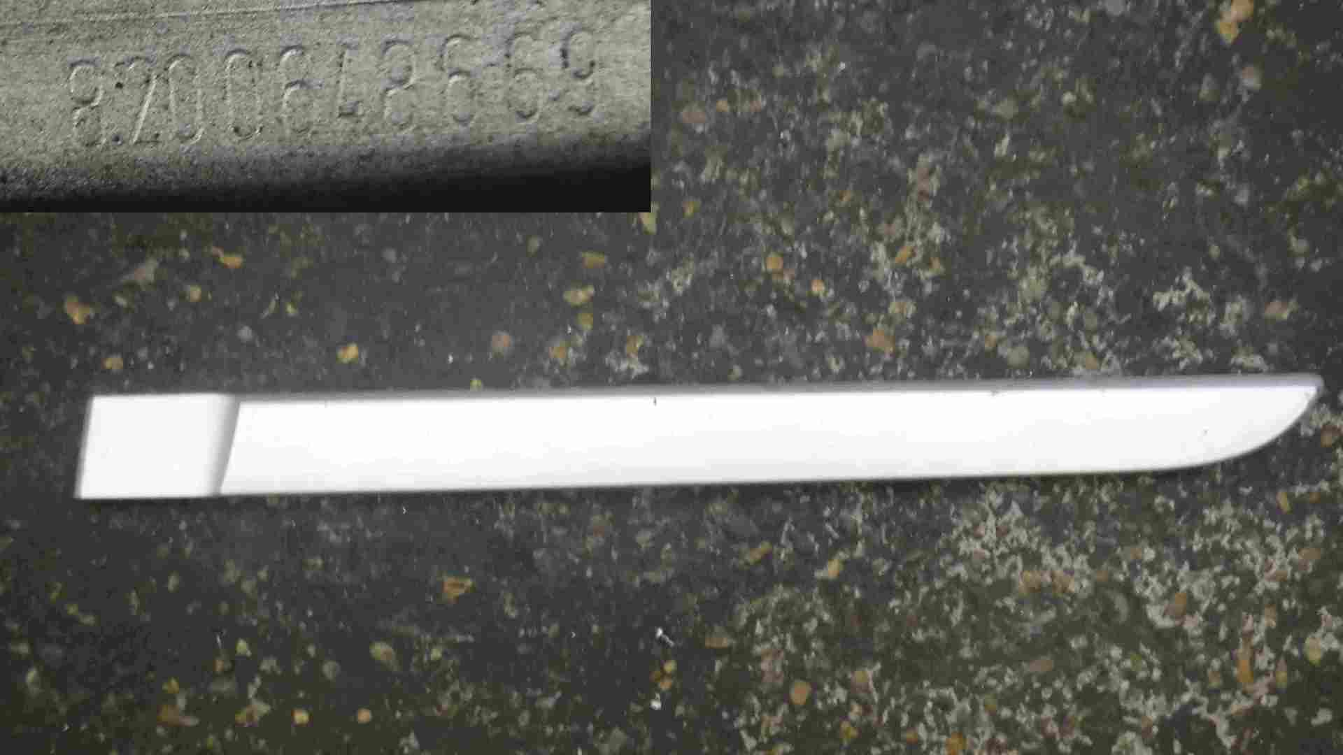Renault Megane 2006-2008 Passenger NSR Rear Door Moulding 5dr 8200648669