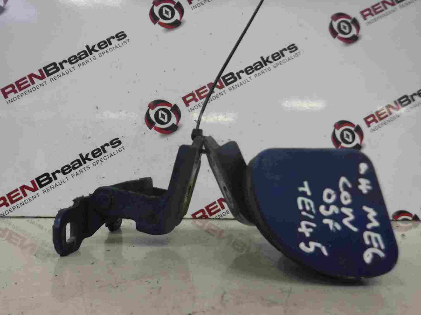 Renault Megane Convertible 2002-2008 Drivers OSF Front Door Hinges Blue TEI45