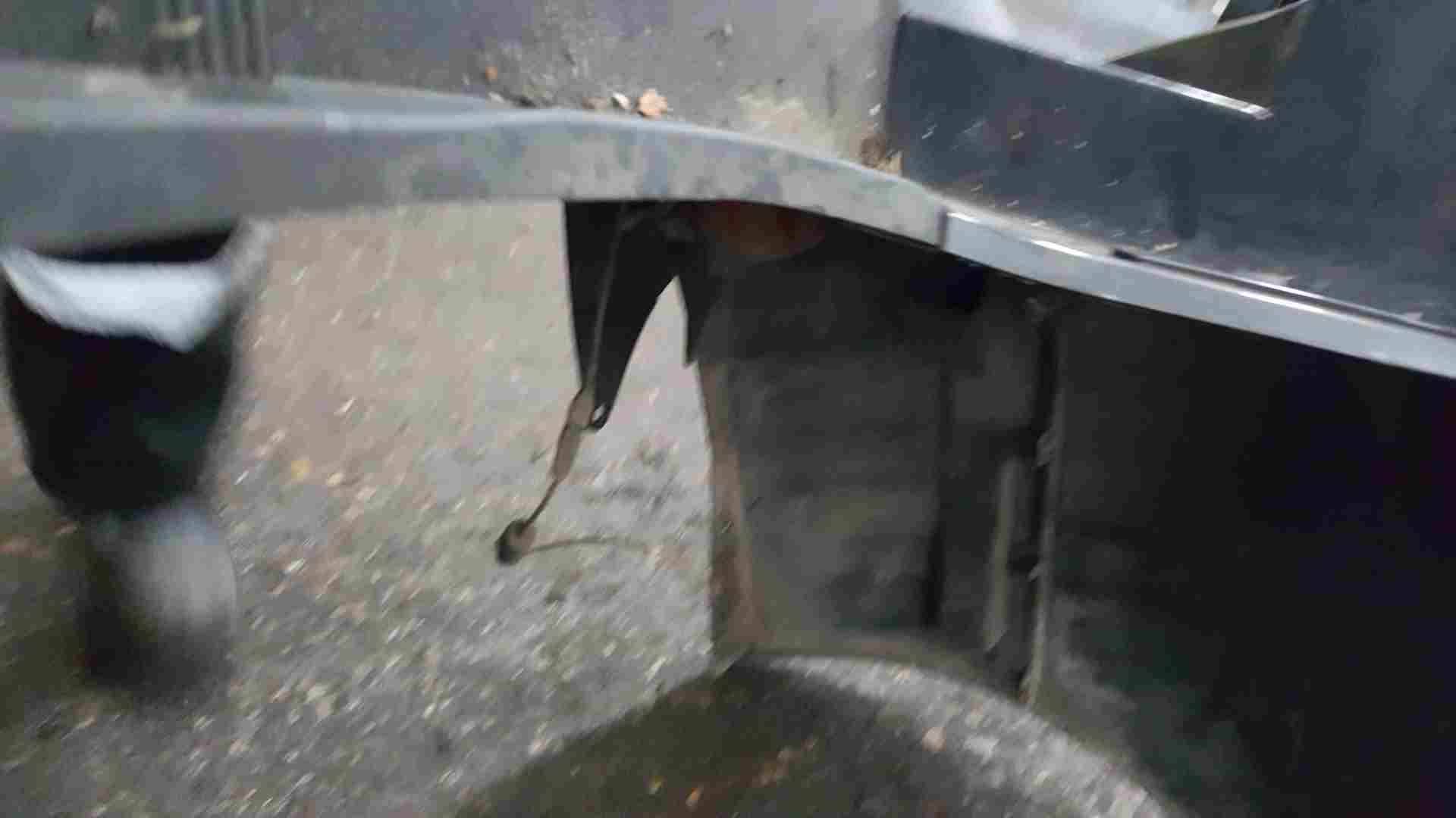 Thumb 11 Renault Megane Convertible 2008-2012 Rear Bumper Grey Teb66   reversing sensors