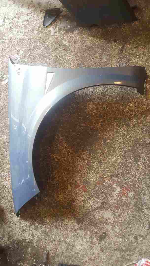 Renault Megane MK2 2002-2008 Passenger Ns Wing Te266
