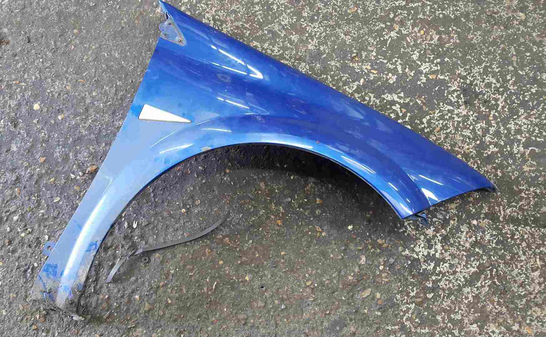 Renault Megane MK2 Sport 2002-2008 172 Drivers OS Wing Blue TERNA