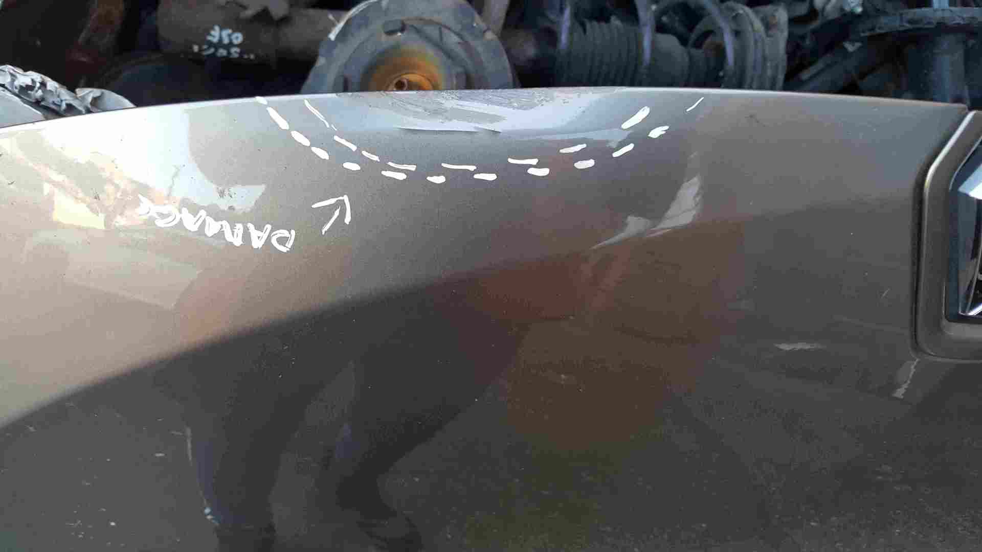 Thumb 2 Renault Megane MK3 2008-2014 Front Bonnet Beige Gold TEHNK