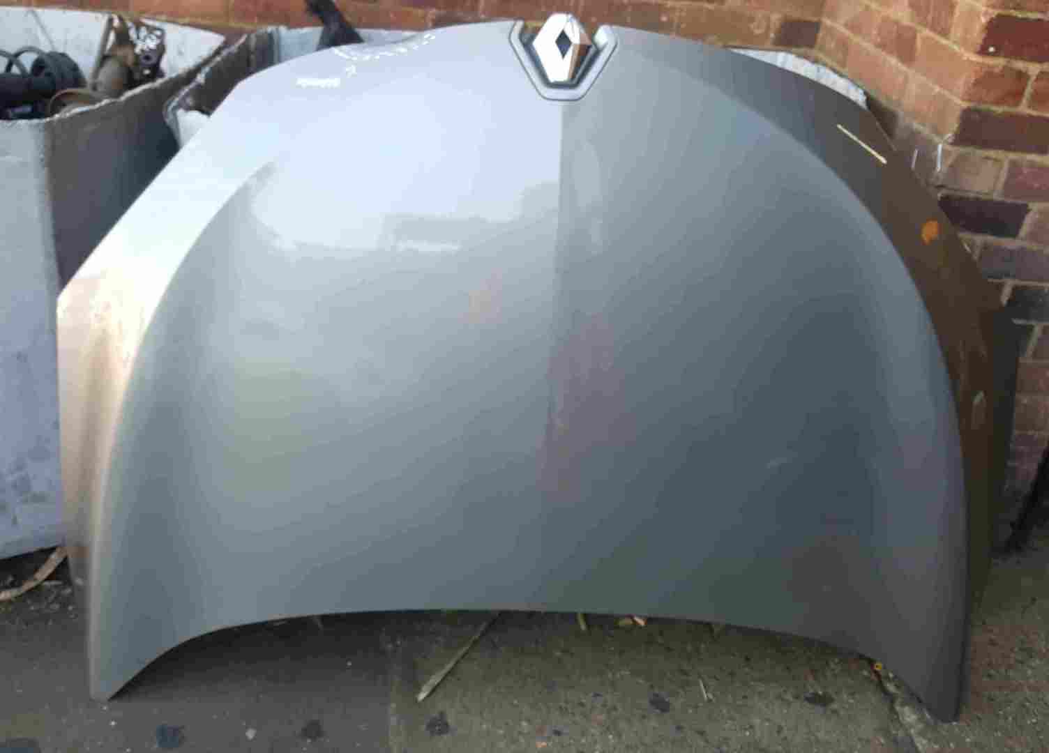 Renault Megane MK3 2008-2014 Front Bonnet Beige Gold TEHNK