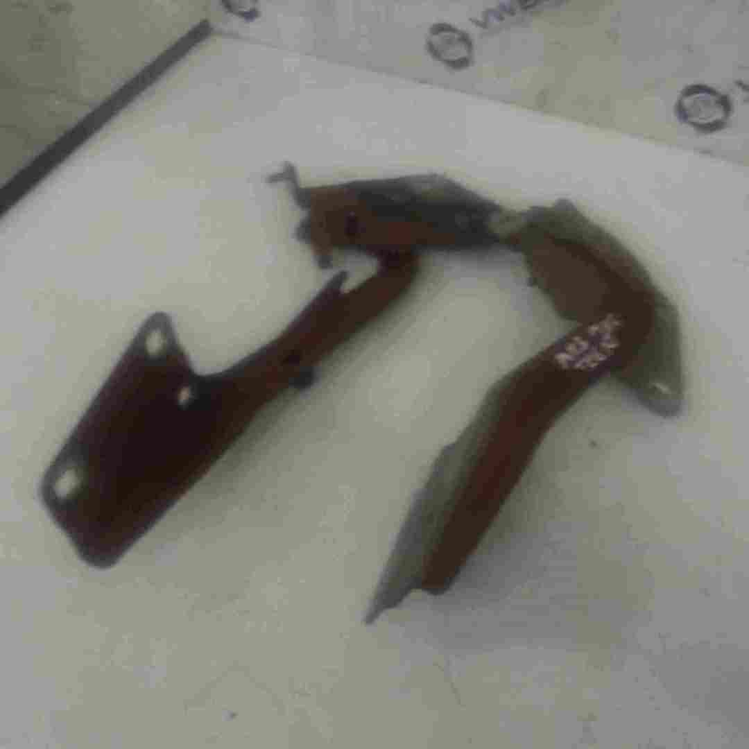 Renault Megane MK3 2008-2014 Front Bonnet Hinges Pair Red TEENJ