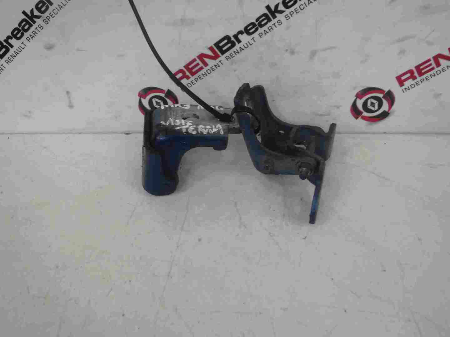 Renault Megane MK3 2008-2014 Passenger NSF Front Door Hinges Blue TERNA