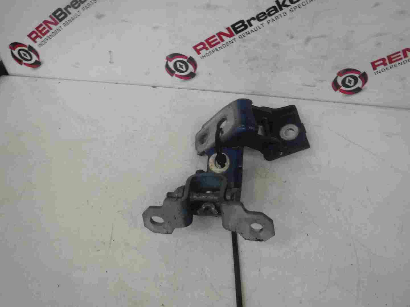 Renault Megane MK3 2008-2014 Passenger NSR Rear Door Hinges Blue TERNA