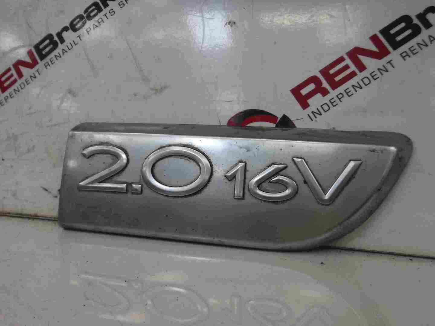 Renault Megane Scenic 2003-2009 2.0 16v Drivers OSF Door Moulding Bullet Trim