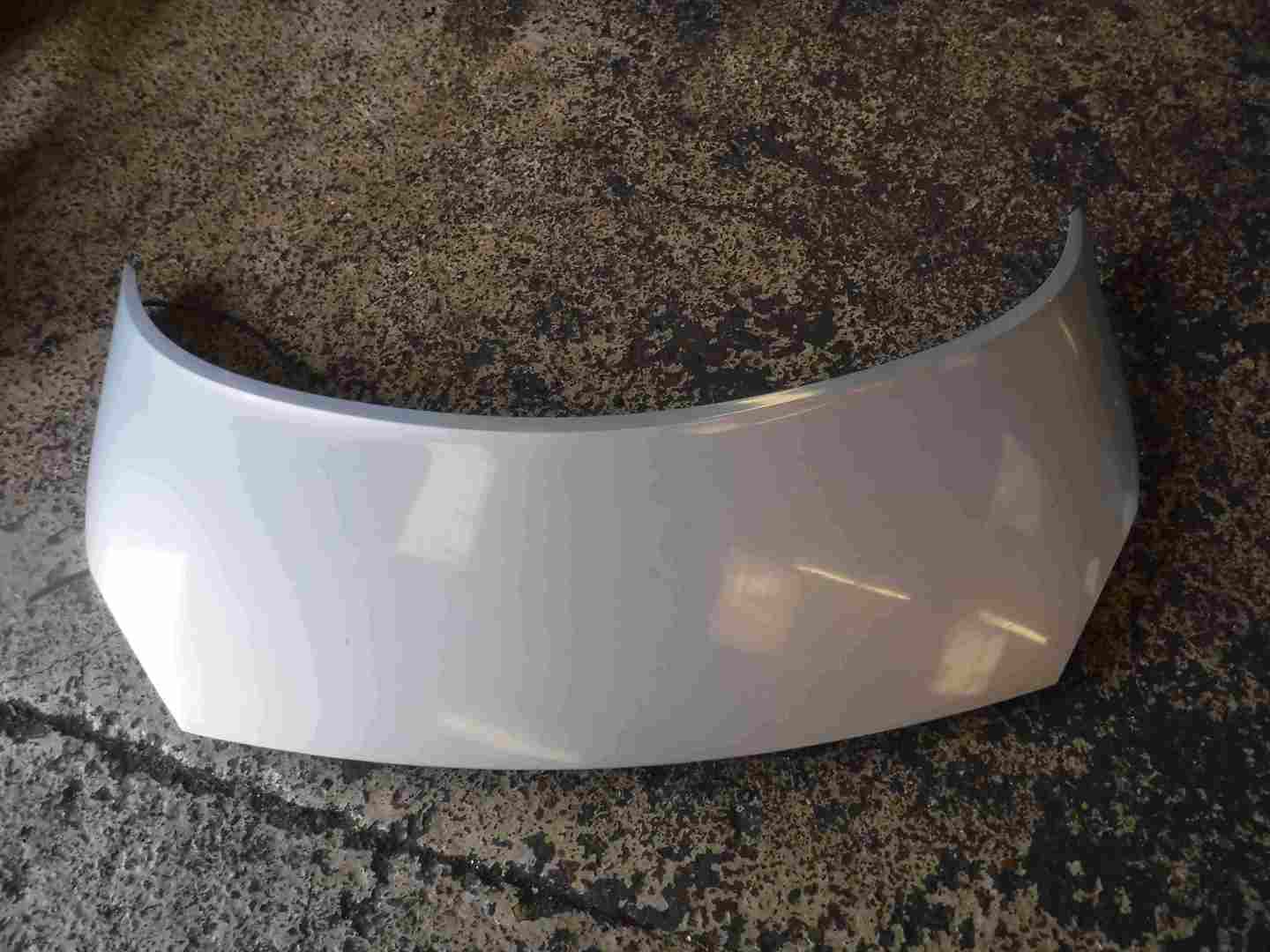 Renault Megane Scenic 2003-2009 Bonnet Silver Grey TEA19
