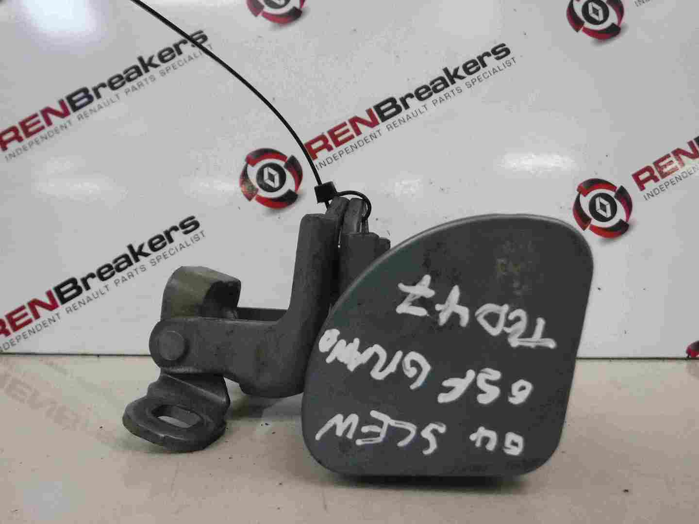 Renault Megane Scenic 2003-2009 Drivers OSF Front Door Hinges Purple Blue TED47