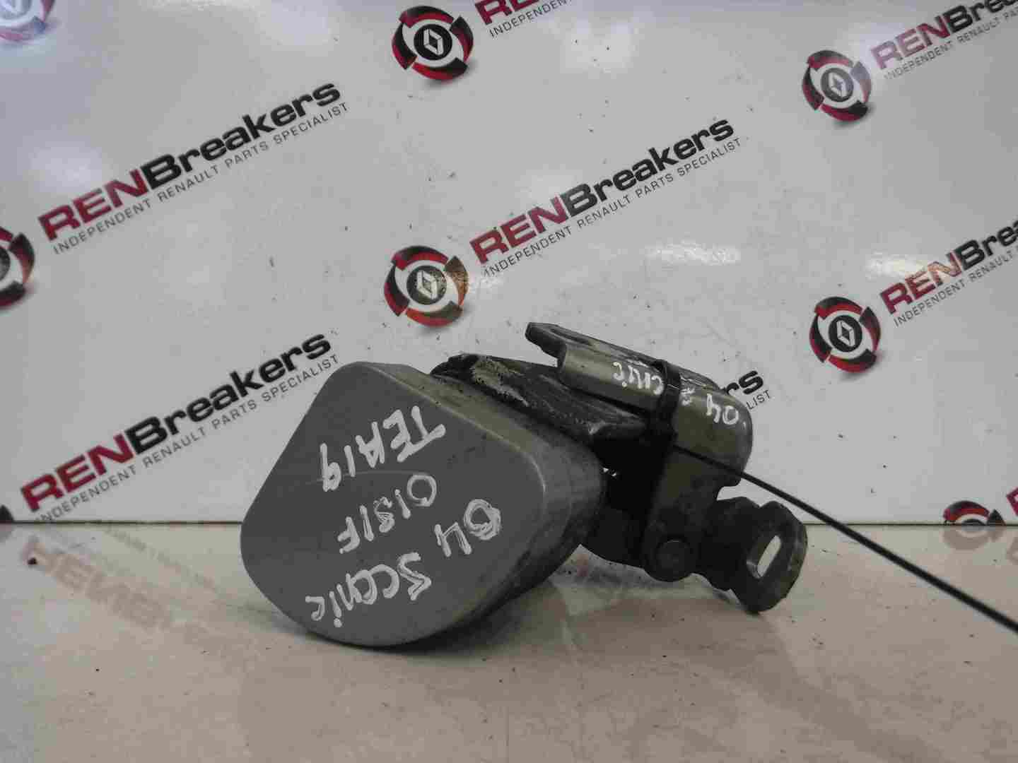 Renault Megane Scenic 2003-2009 Drivers OSF Front Door Hinges Silver TEA19