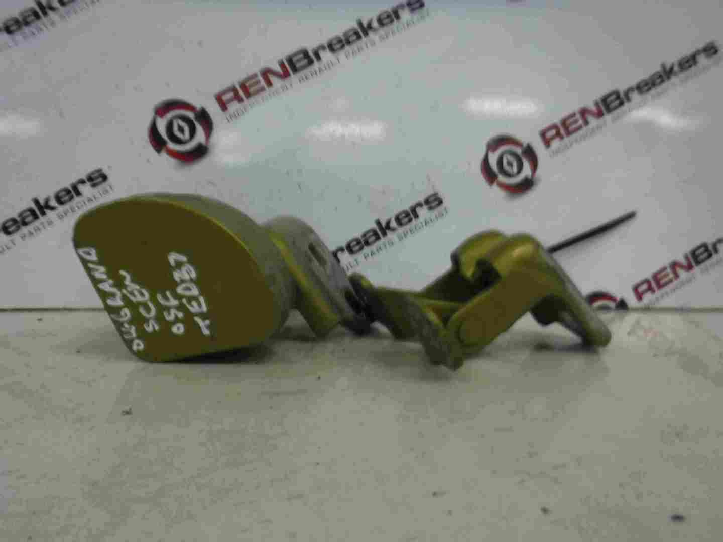 Renault Megane Scenic 2003-2009 Drivers OSF Front Door Hinges Yellow Gold TED37