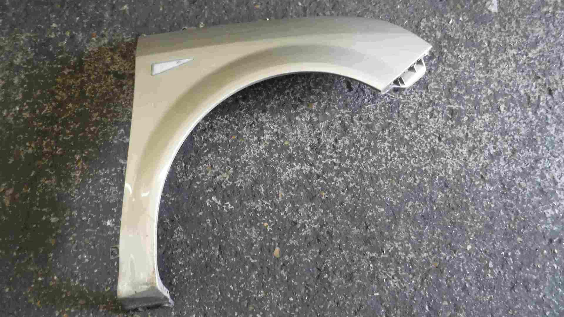 Renault Megane Scenic 2003-2009 Drivers OSF Front Wing Beige TED11