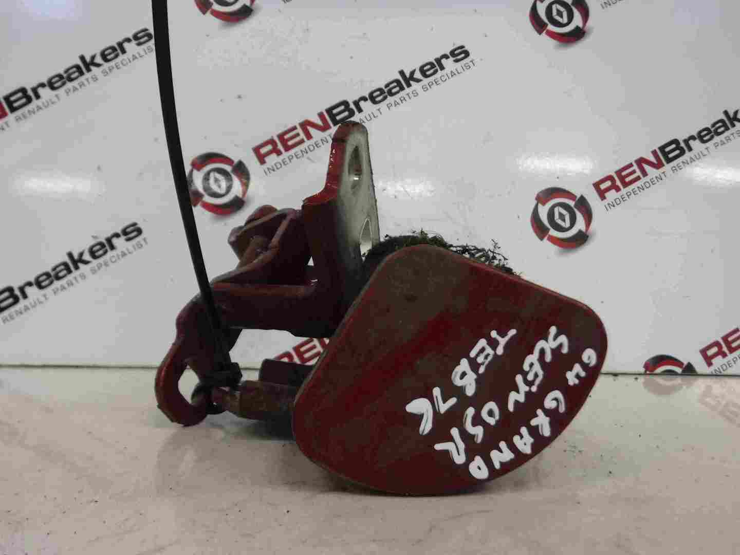 Renault Megane Scenic 2003-2009 Drivers OSR Rear Door Hinges Red TEB76