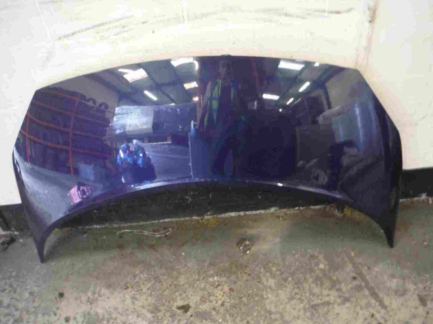 Renault Megane Scenic 2003-2009 Front Bonnet Blue TEF43