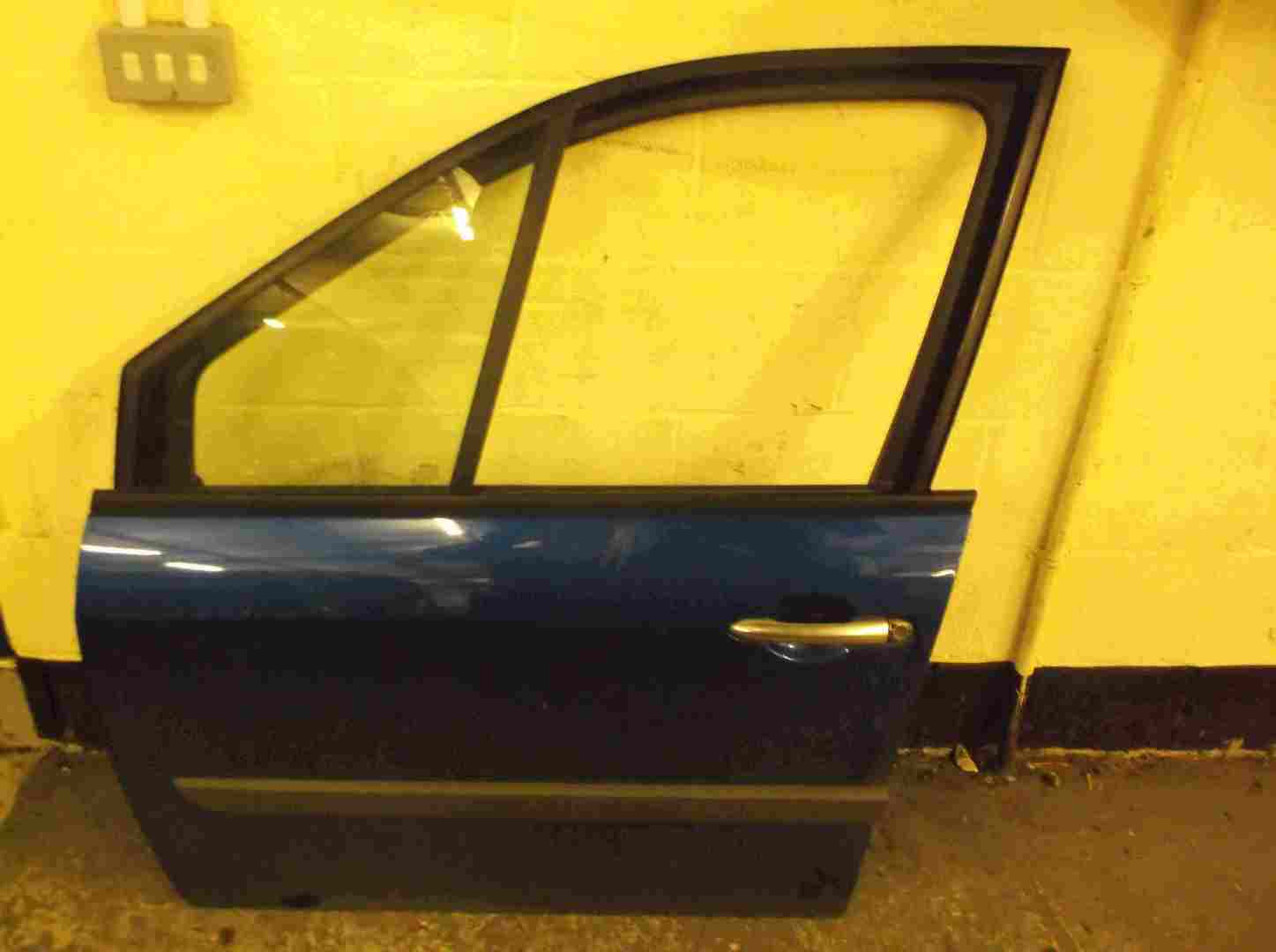 Renault Megane Scenic 2003-2009 Passenger NSF Front Door Blue TERNA