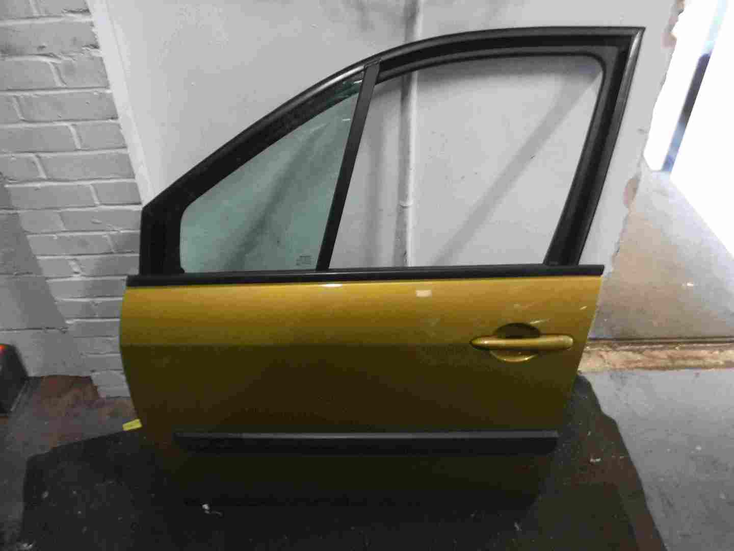 Renault Megane Scenic 2003-2009 Passenger NSF Front Door Yellow Gold TED37