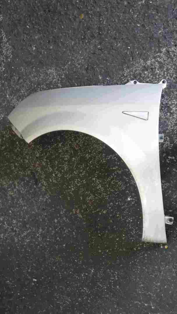 Renault Megane Scenic 2003-2009 Passenger NSF Front Wing Beige TED11