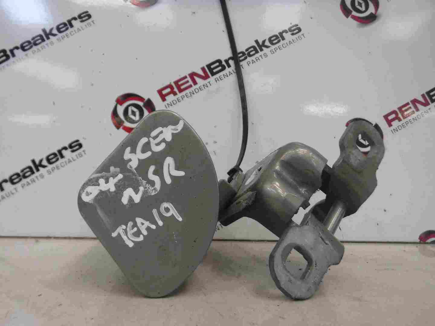 Renault Megane Scenic 2003-2009 Passenger NSR Rear Door Hinges Silver TEA19
