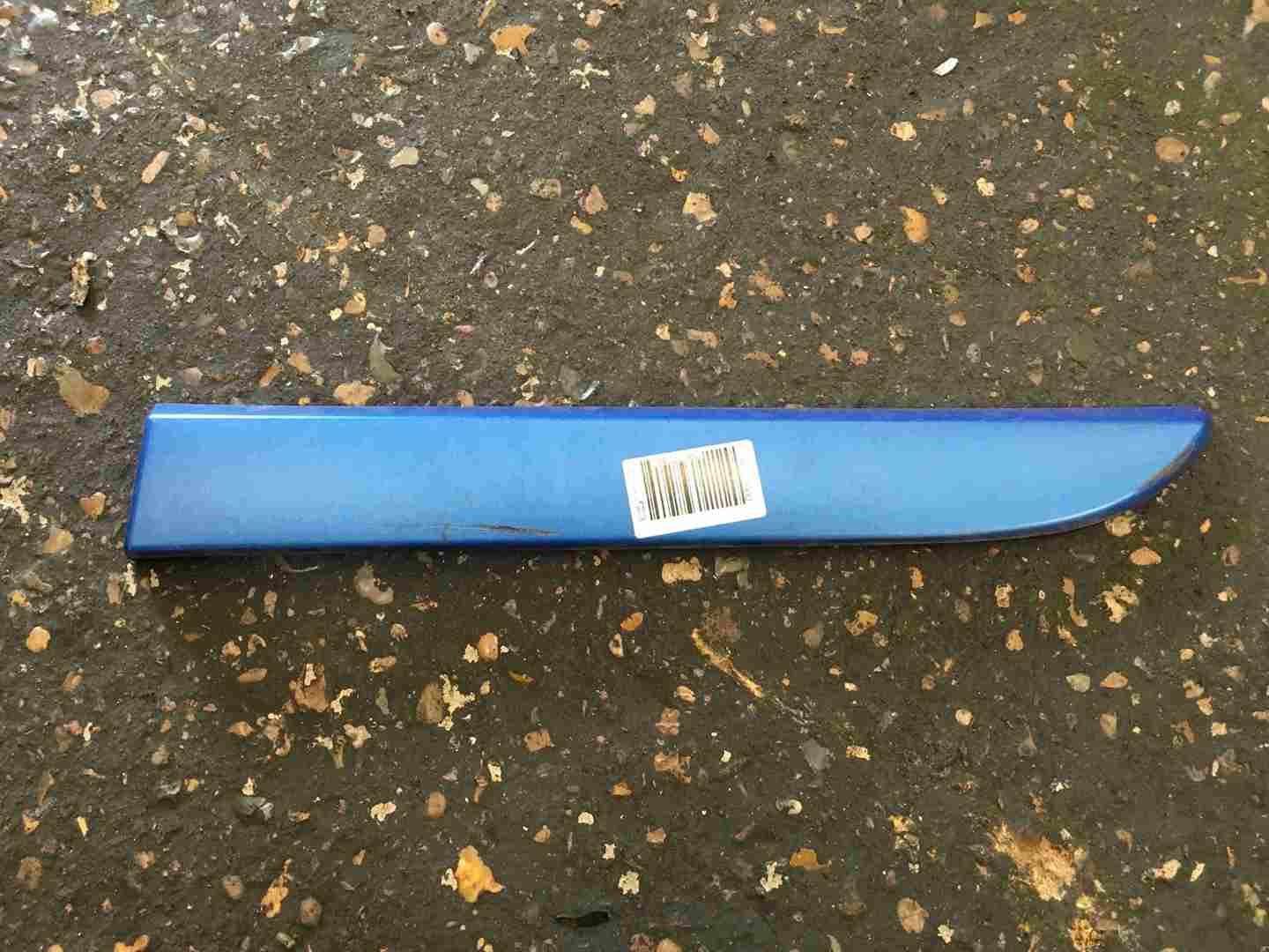 Renault Megane Sport 2002-2008 225 Passenger NSR Rear Door Moulding Blue TEJ41