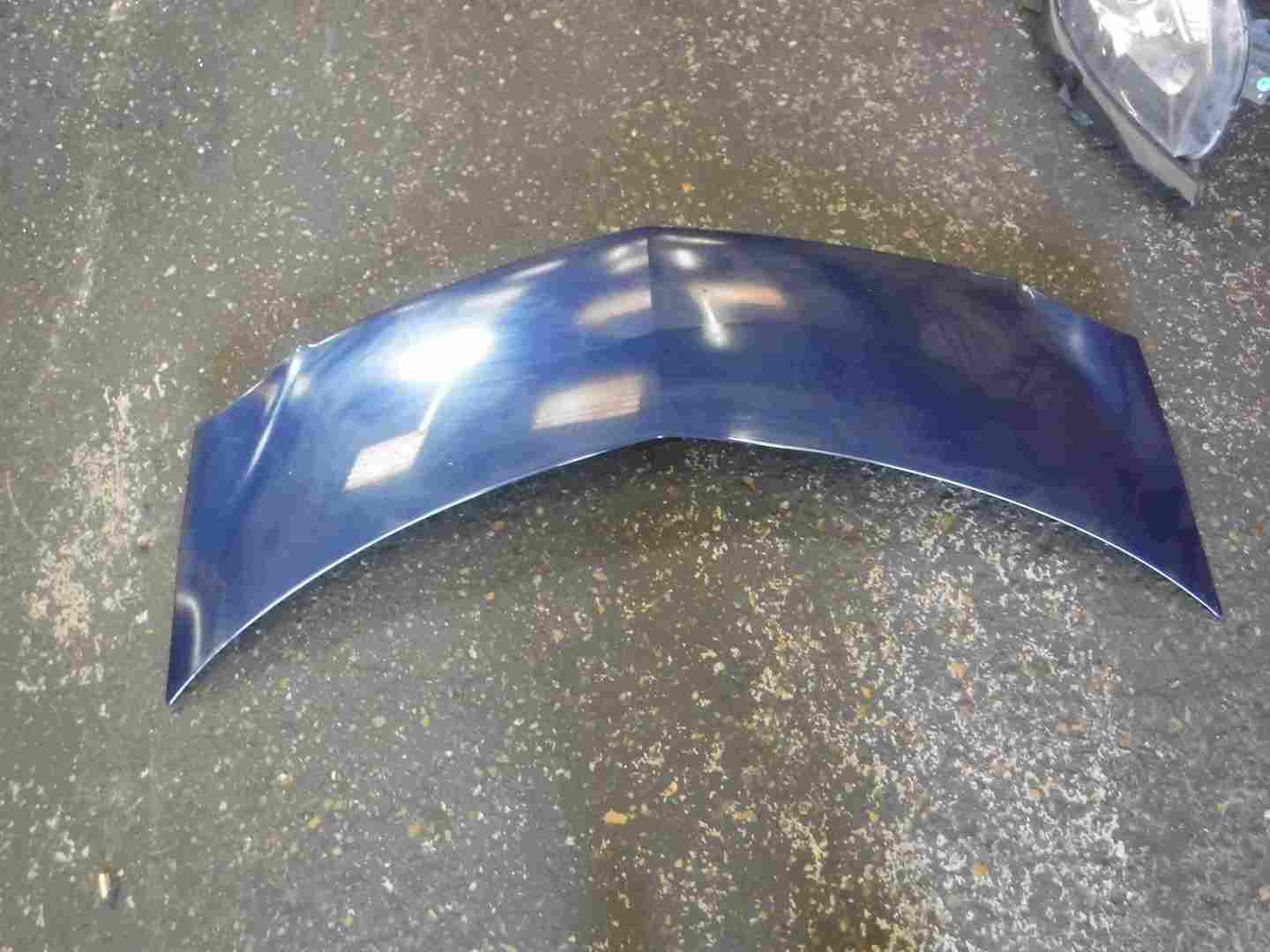 Renault Modus 2004-2008 Front Bonnet Blue TED44