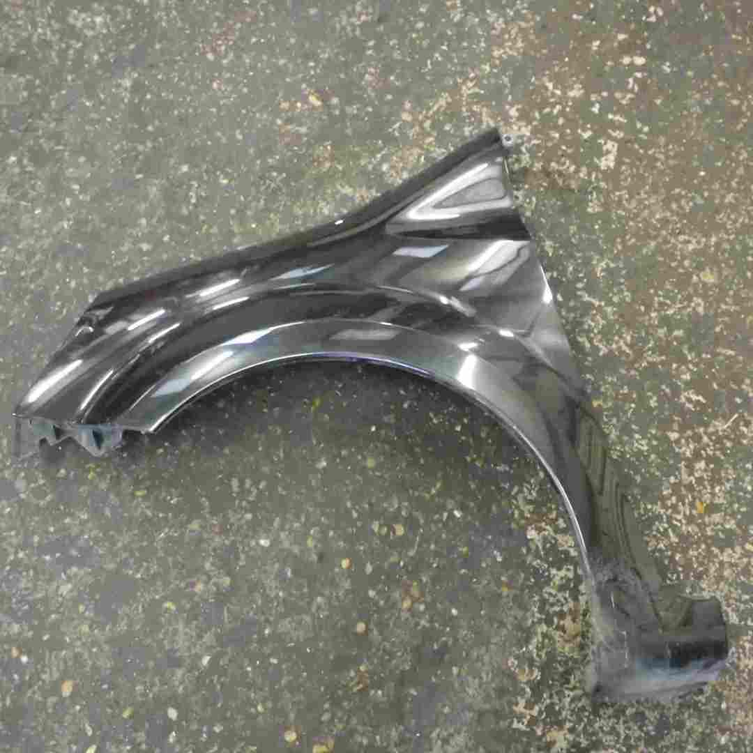 Renault Modus 2004-2008 Passenger NS Wing Black 676