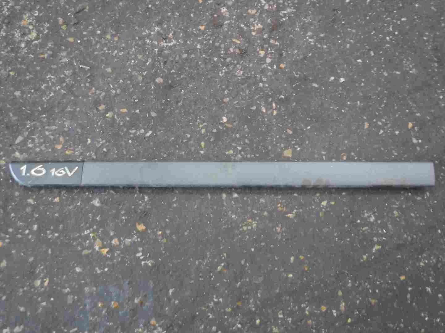 Renault Scenic 2003-2009 1.6 16v Passenger NSF Front Door Moulding Trim