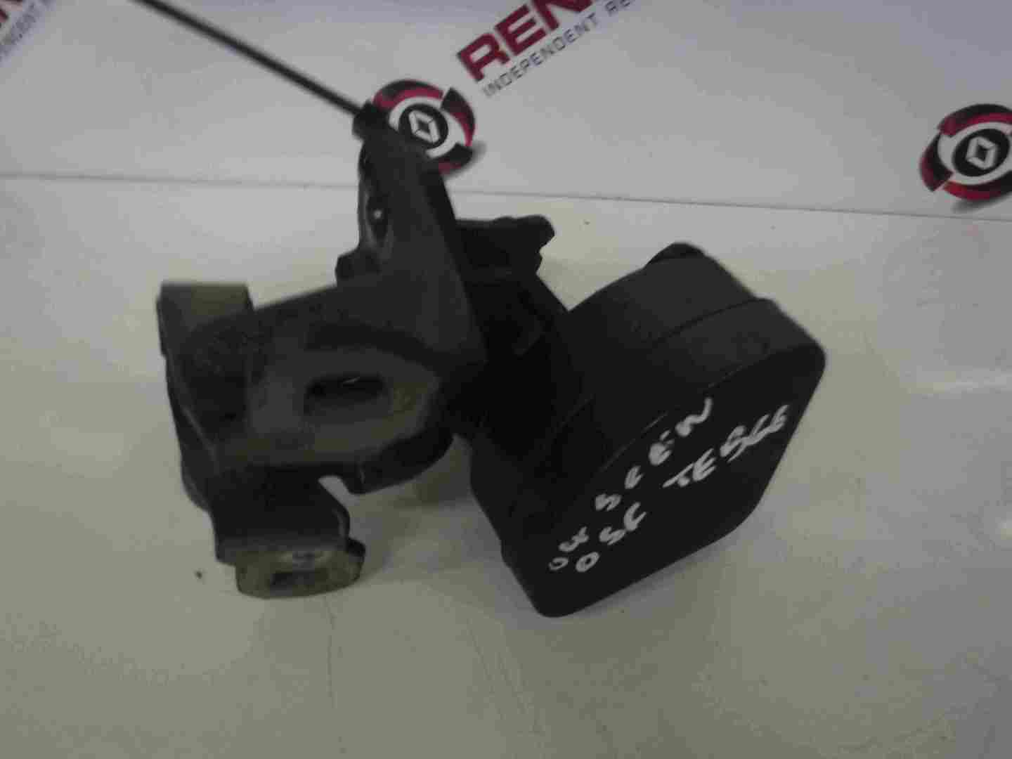 Renault Scenic 2003-2009 Drivers OSF Front Door Hinges Grey TEB66