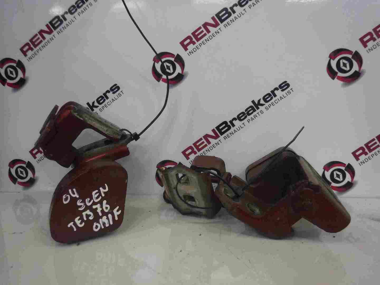 Renault Scenic 2003-2009 Drivers OSF Front Door Hinges Red TEB76