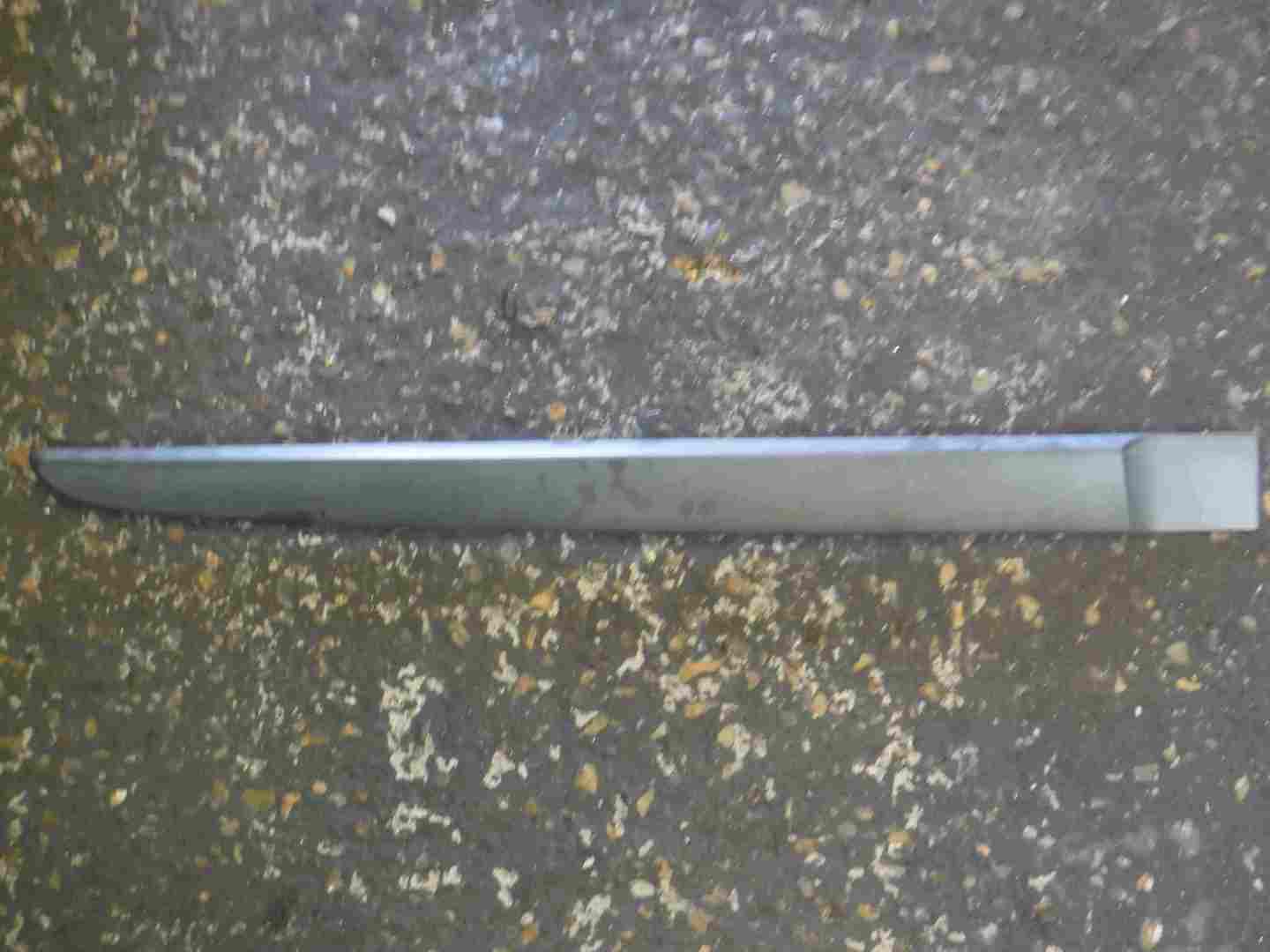 Renault Scenic 2003-2009 Drivers OSR Rear Door Moulding Trim