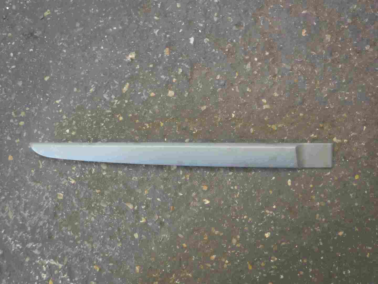Renault Scenic 2003-2009 Drivers OSR Rear Door Moulding Trim Silver Goldy