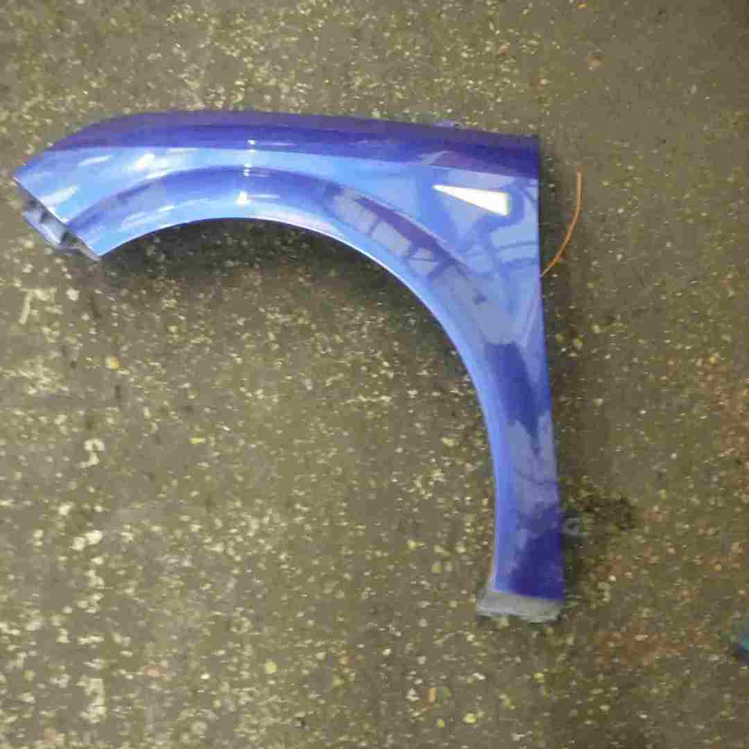 Renault Scenic 2003-2009 Passenger NS Wing Blue TEI45 TE145