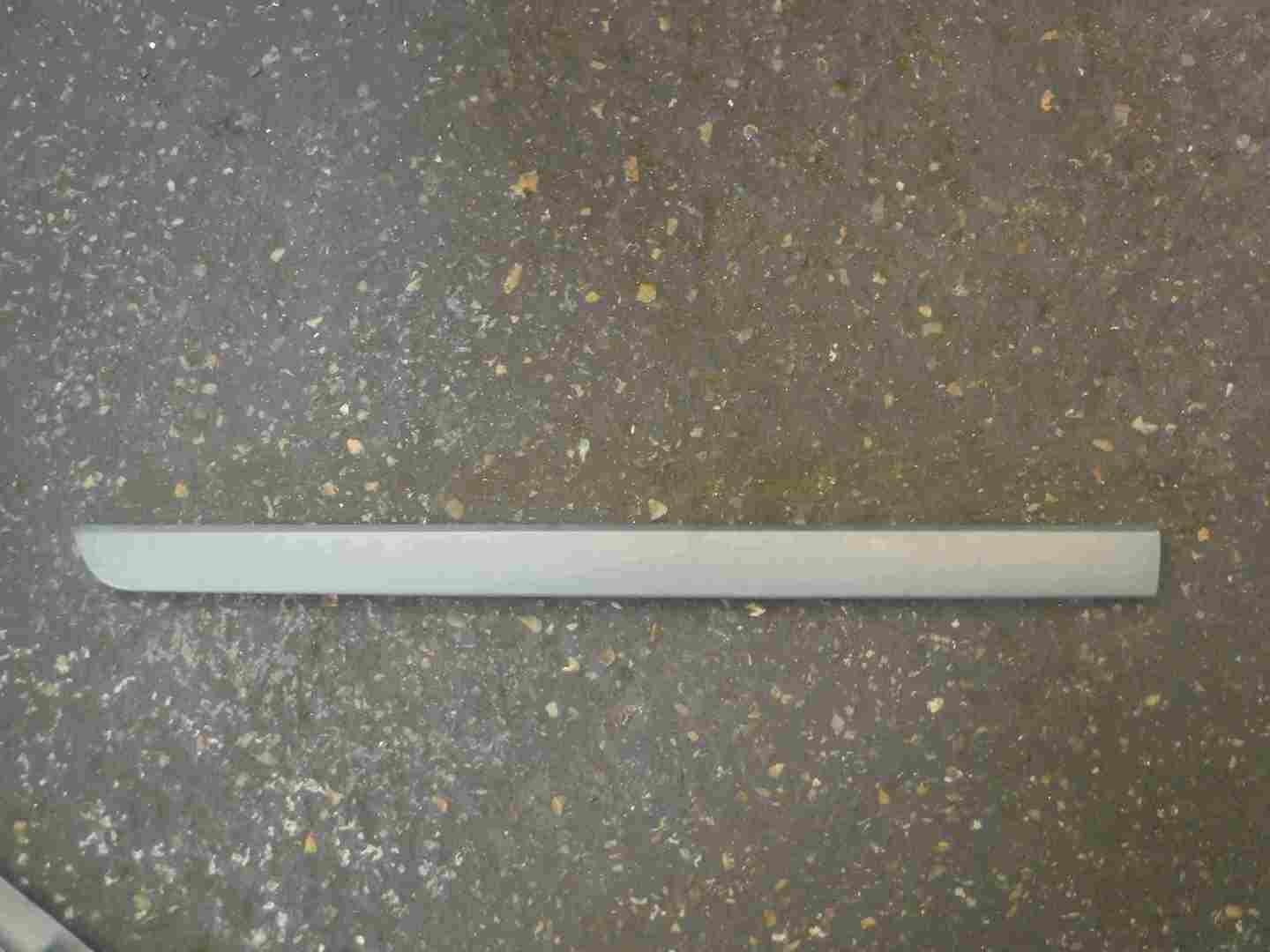 Renault Scenic 2003-2009 Passenger NSF Front Door Moulding Trim Silver Gold