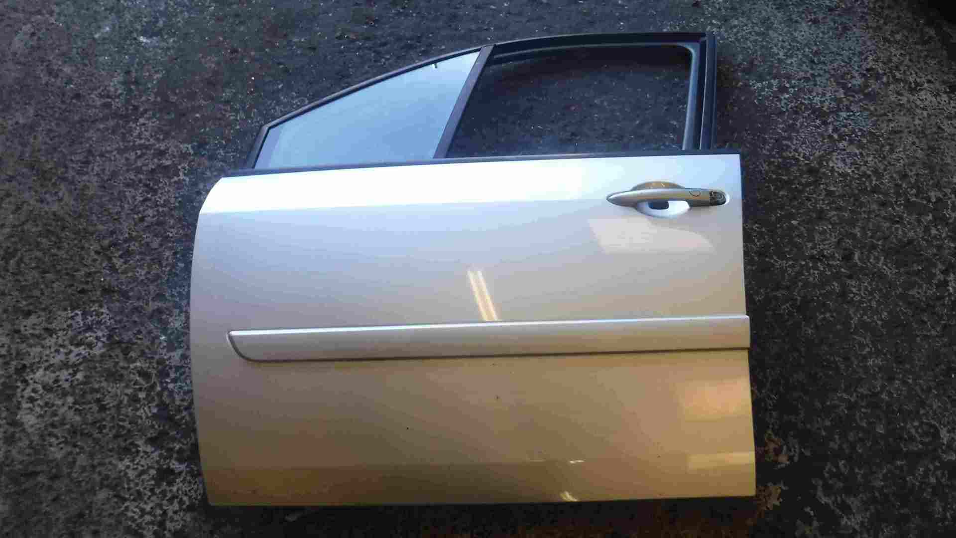 Renault Scenic 2003-2009 Passenger NSF Front Door Silver TED69