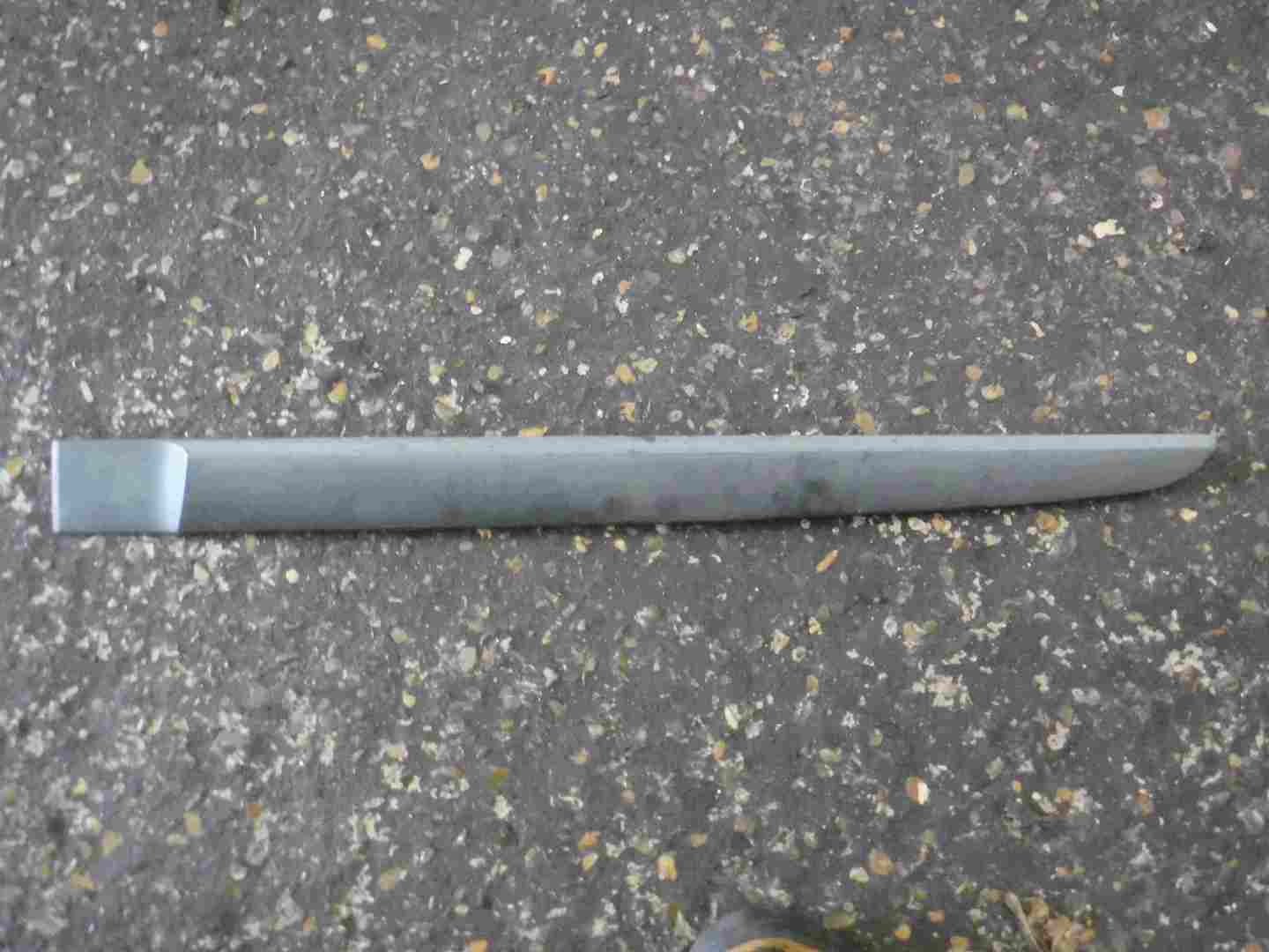 Renault Scenic 2003-2009 Passenger NSR Rear Door Moulding Trim 8200136735