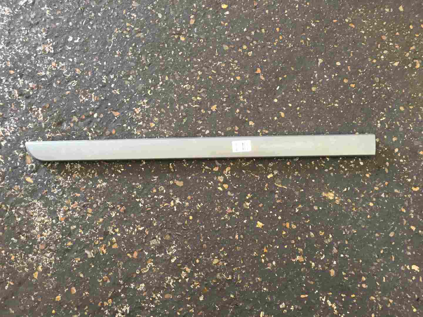 Renault Scenic 2003-2009 Passenger NSR Rear Door Moulding Trim Light Grey