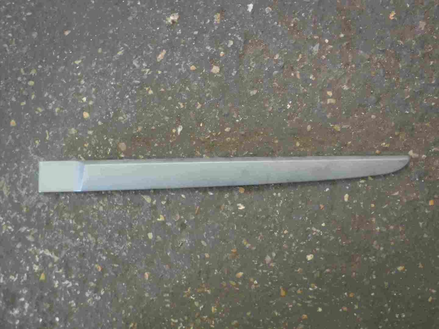 Renault Scenic 2003-2009 Passenger NSR Rear Door Moulding Trim Silver Goldy
