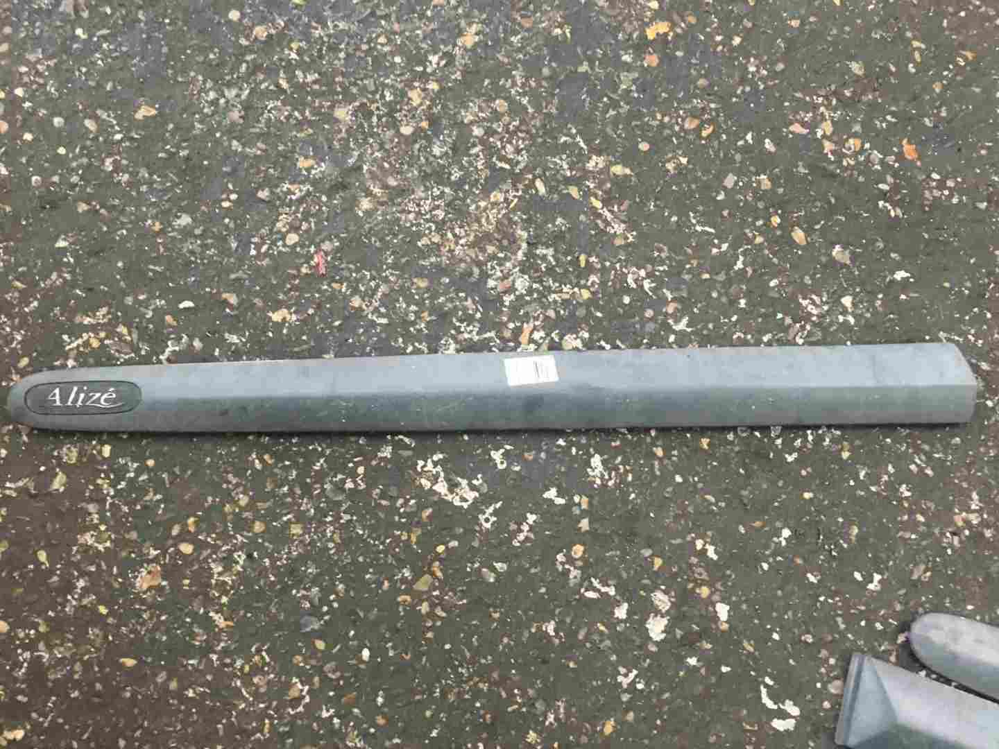 Renault Scenic MK1 1999-2003 Alize Passenger NSF Front Door Moulding Trim