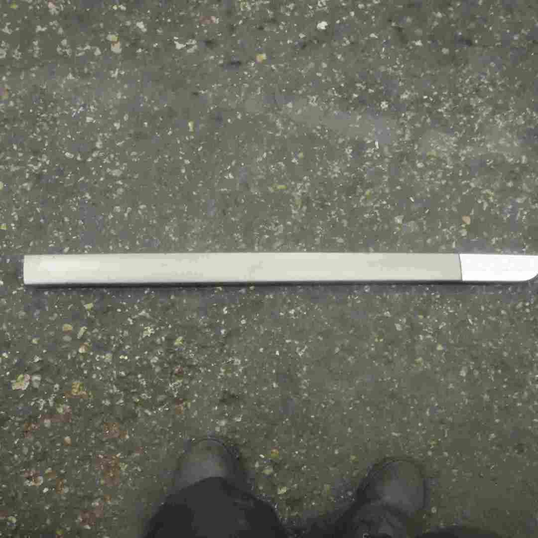Renault Scenic MK2 2003-2009 1.9 Dci Drivers OSF Front Door Moulding Trim