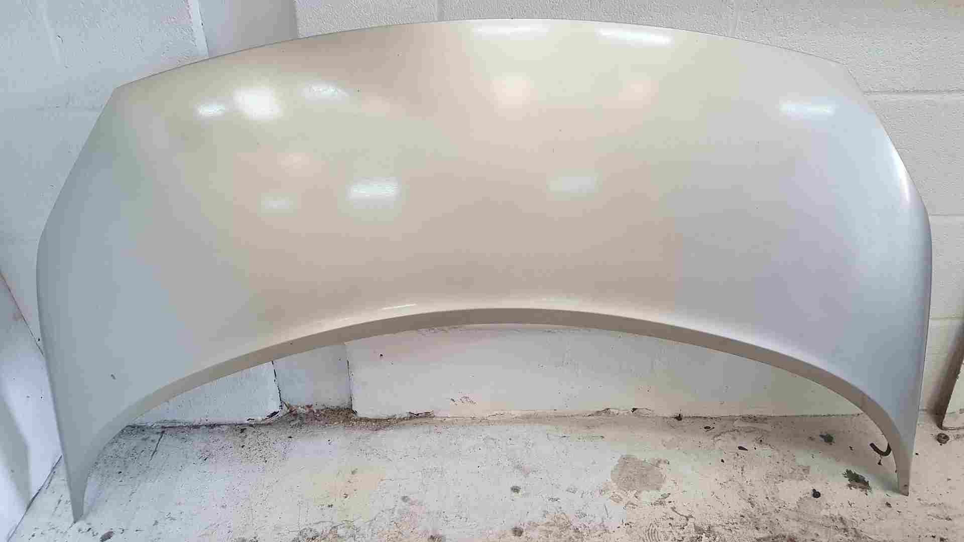 Thumb 2 Renault Scenic MK2 2006-2009 Front Bonnet Gold Silver Ted11 
