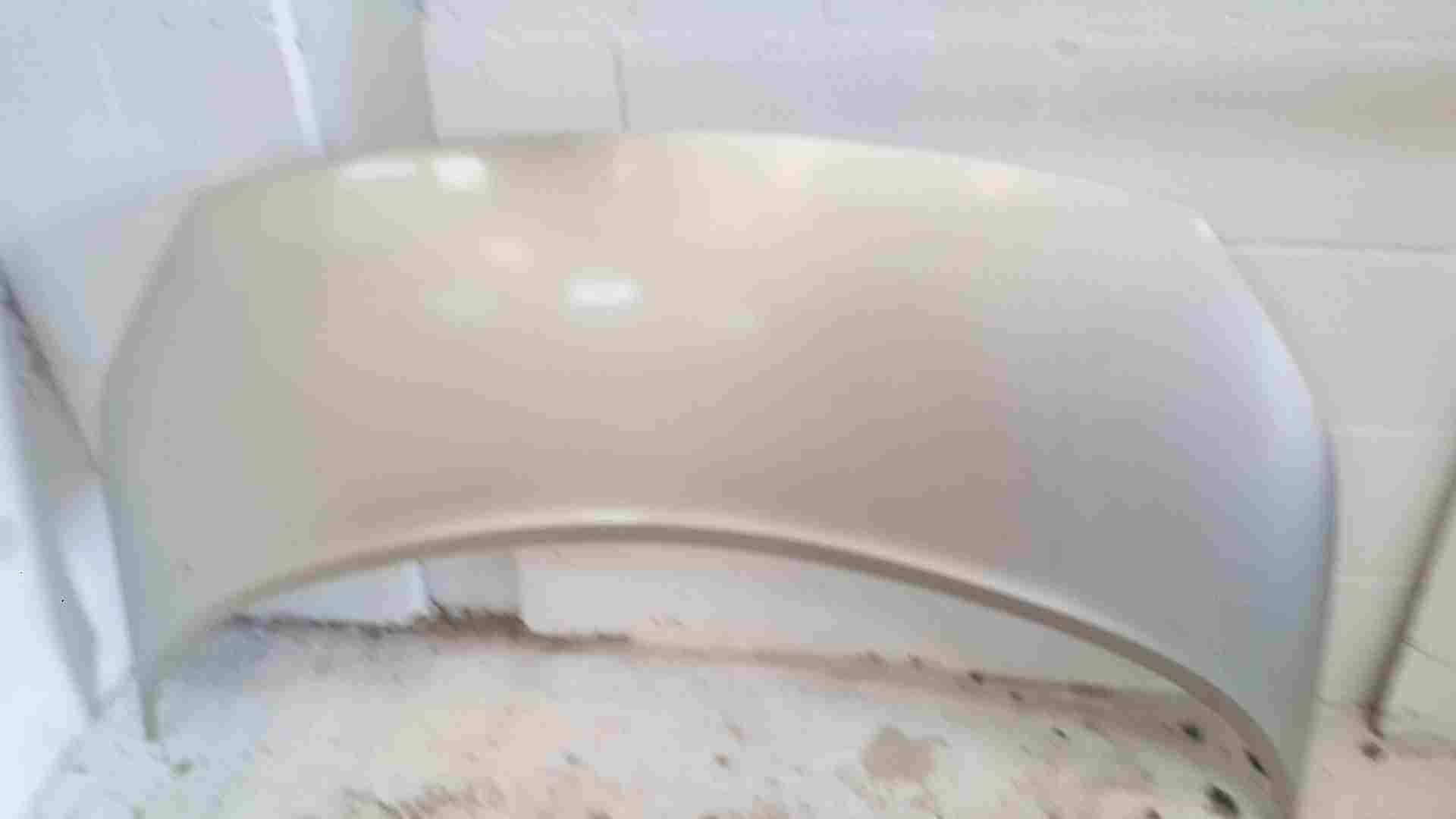 Thumb 5 Renault Scenic MK2 2006-2009 Front Bonnet Gold Silver Ted11 