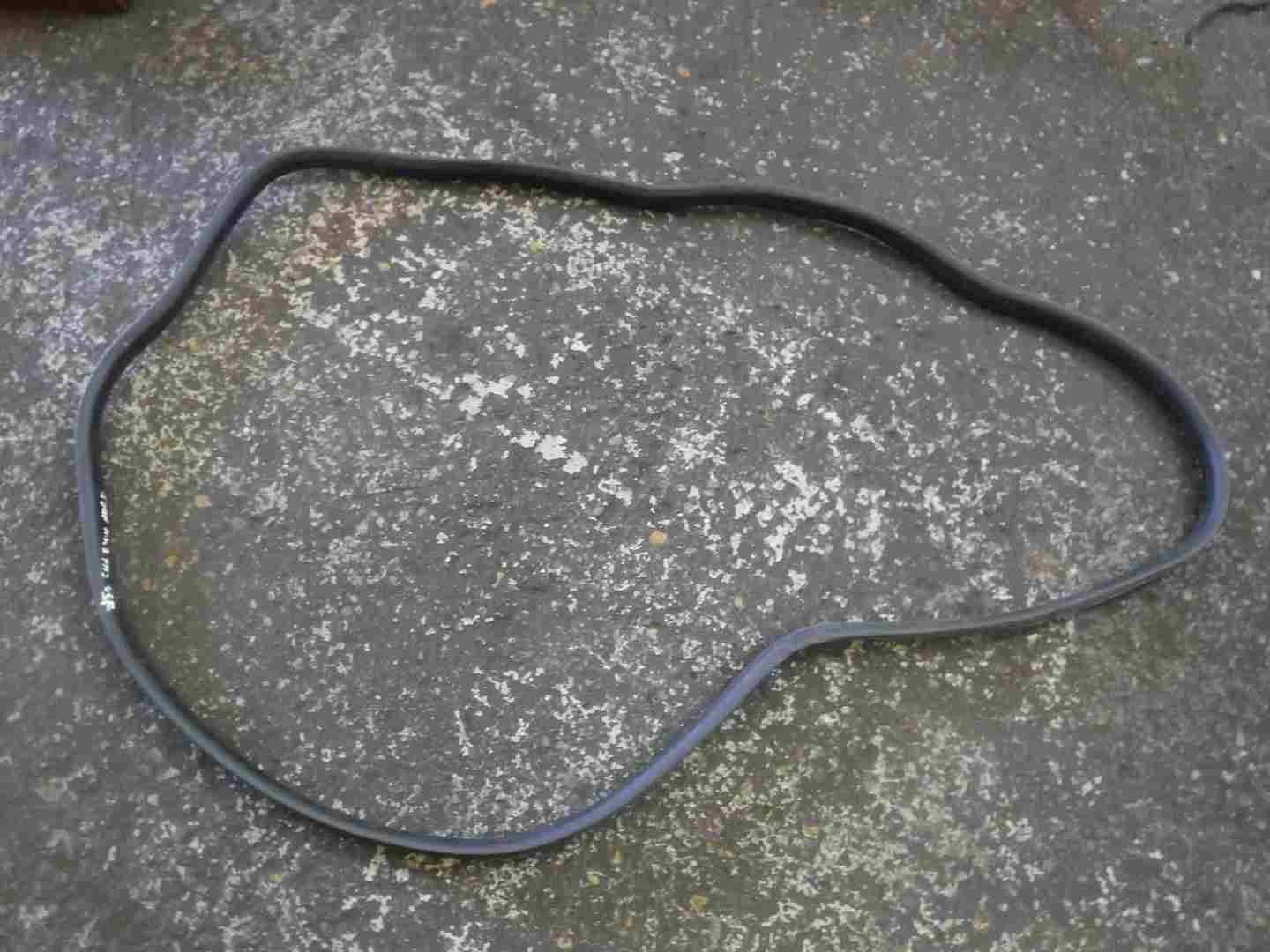 Renault Scenic MK3 2009-2016 Drivers OSF Front Door Rubber Seal