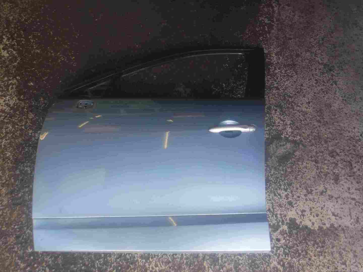 Renault Scenic MK3 2009-2016 Passenger NSF Front Door Purple Blue TERPA