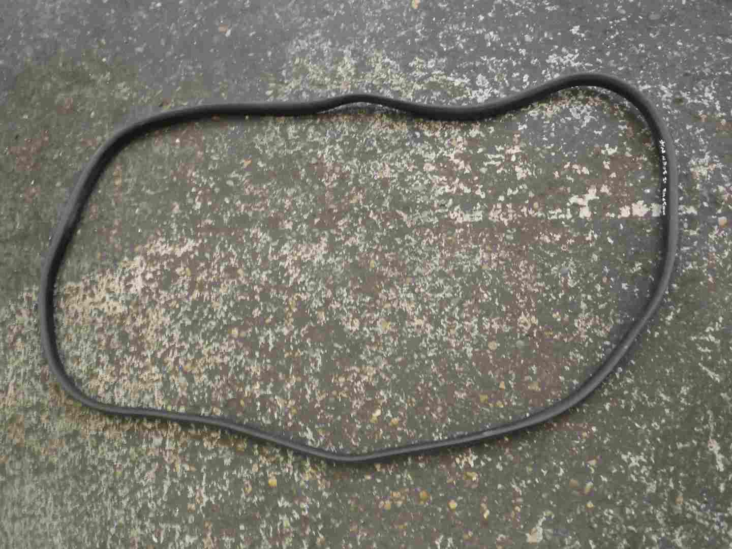 Renault Scenic MK3 2009-2016 Passenger NSF Front Door Rubber Seal