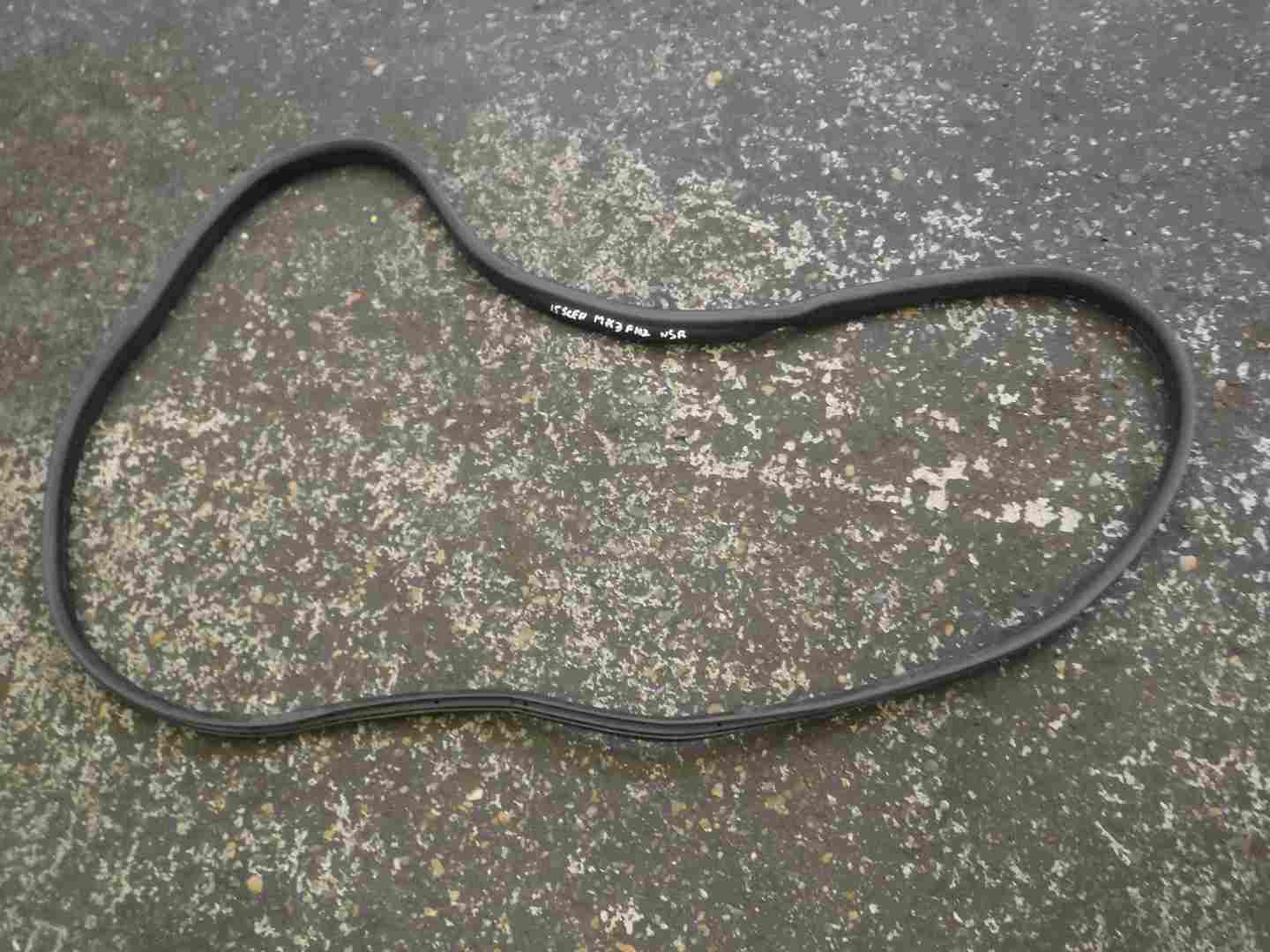 Renault Scenic MK3 2009-2016 Passenger NSR Rear Door Rubber Seal