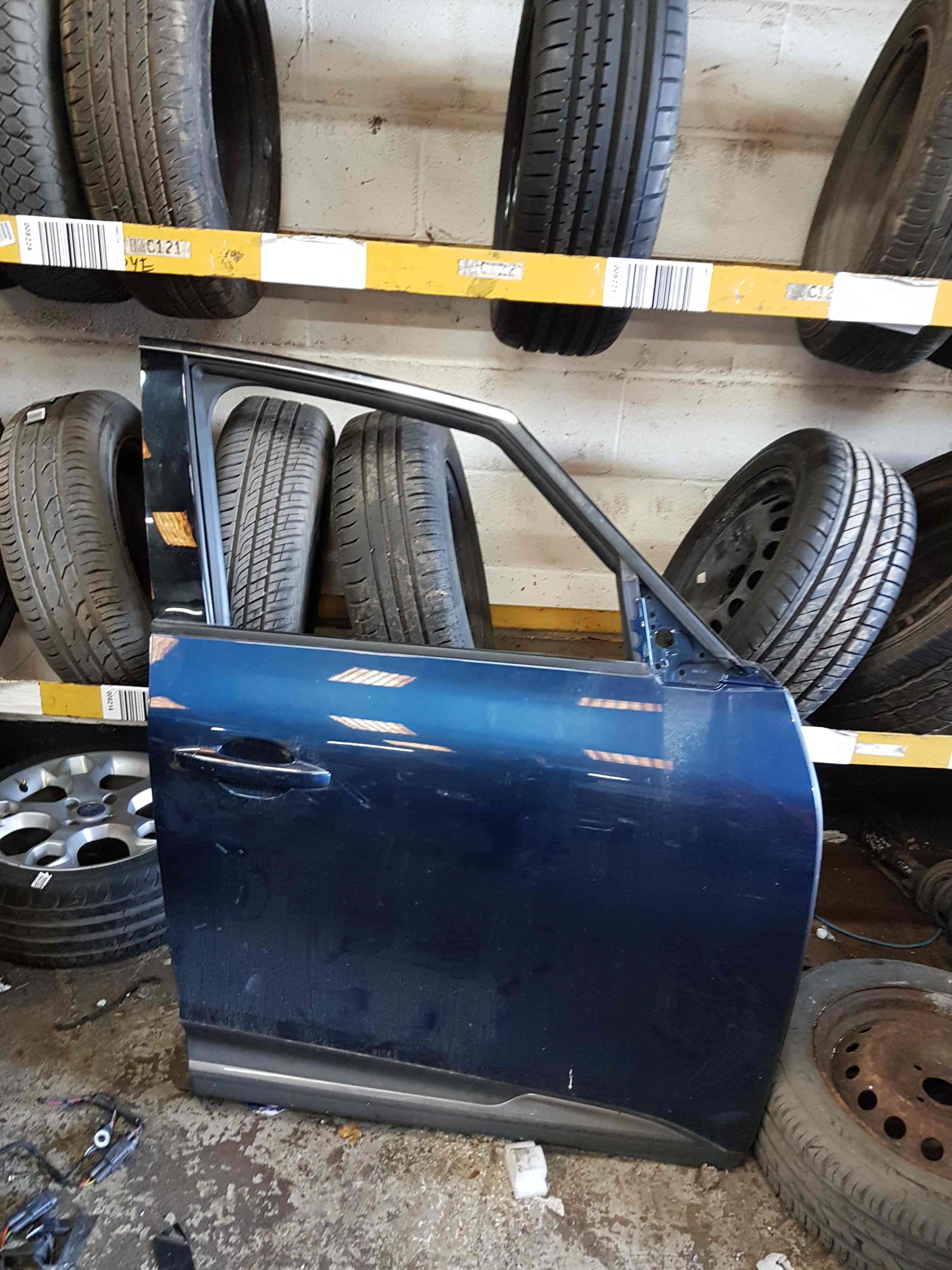 Renault Scenic MK4 2016-2022 Drivers OSF Front Door Blue BIXUL