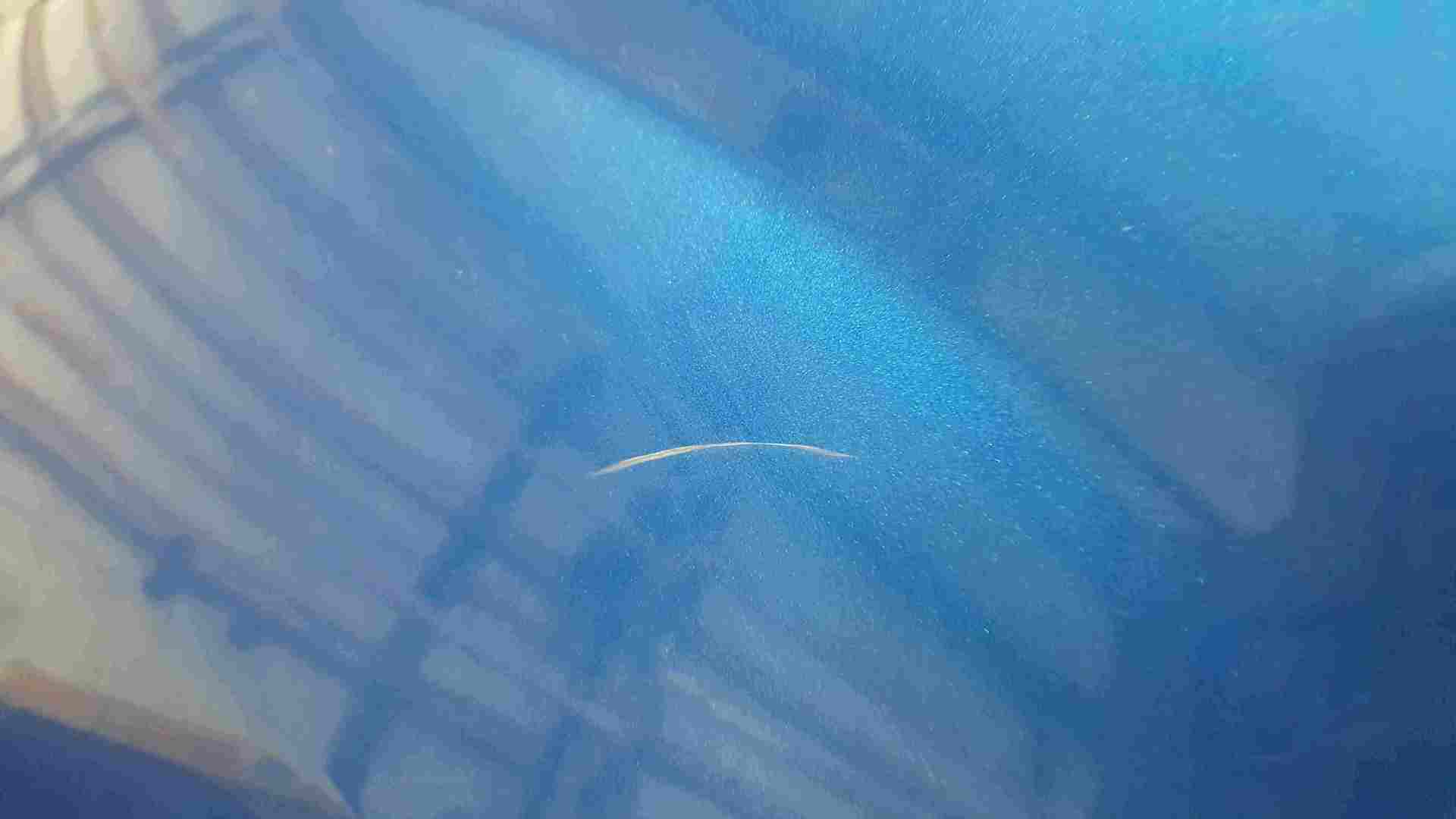 Thumb 4 Renault Twingo 2007-2011 Passenger NS Wing Blue TERNA