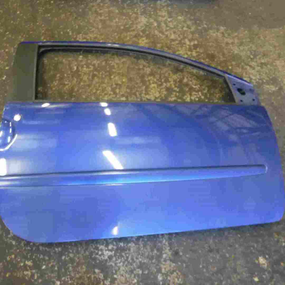 Renault Twingo GT 2007-2011 Drivers OSF Front Door Blue TERNA