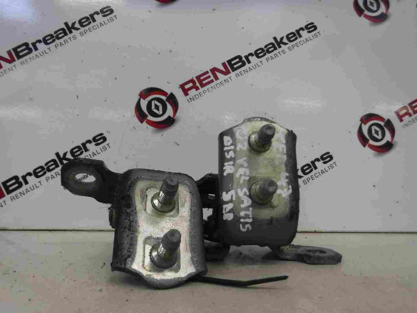 Renault Vel Satis 2002-2005 Drivers OSR Rear Door Hinges Blue Purple TED47