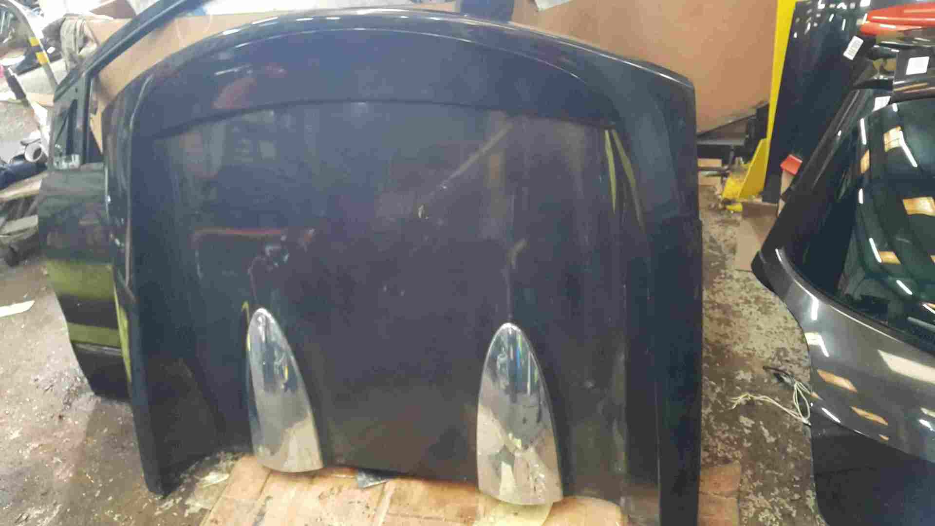 Thumb 3 Renault Wind 2010-2013 Rear Roof Flap Panel Cover 676