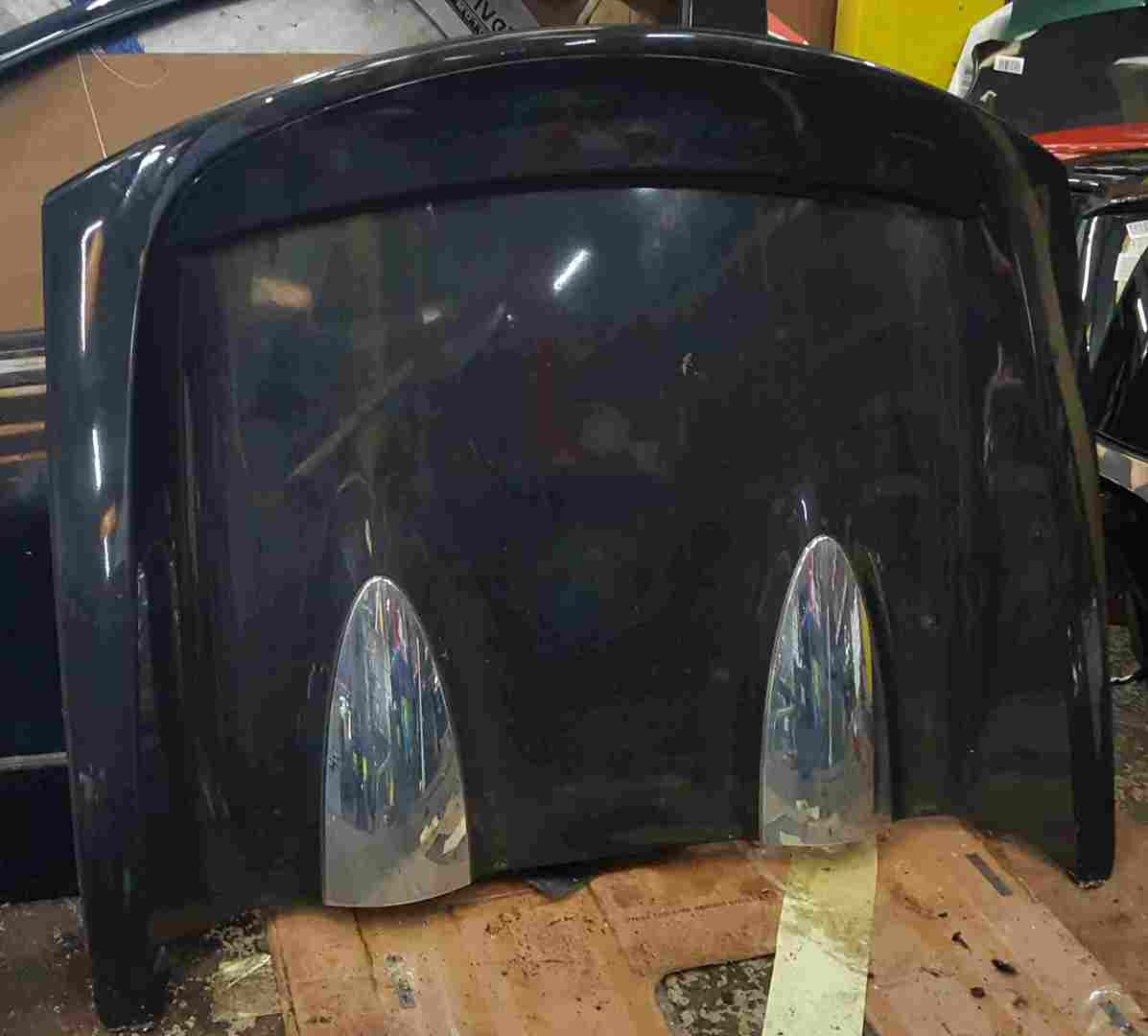 Renault Wind 2010-2013 Rear Roof Flap Panel Cover 676